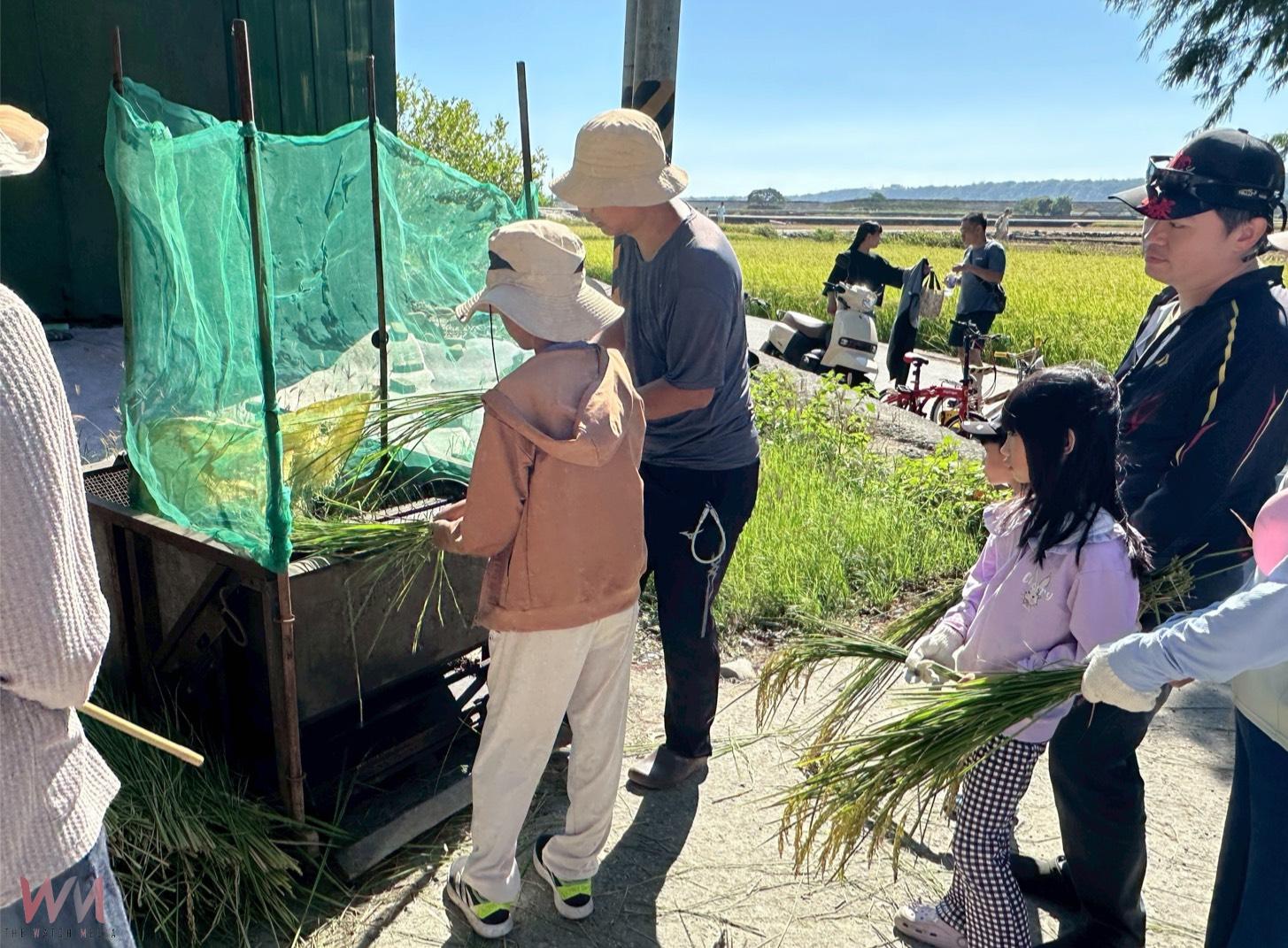 忘憂谷飄稻香！台中市食農教育體驗營起跑　強化在地產業連結 - https://www.watchmedia01.com