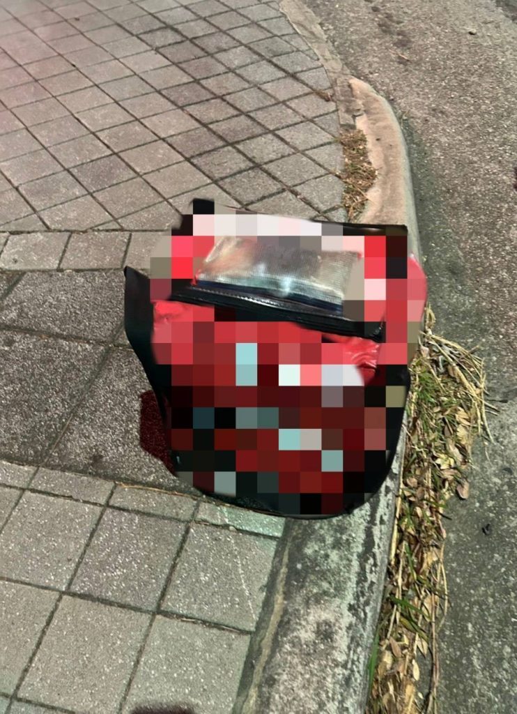 S__496672781_0 - 報新聞 Mega News