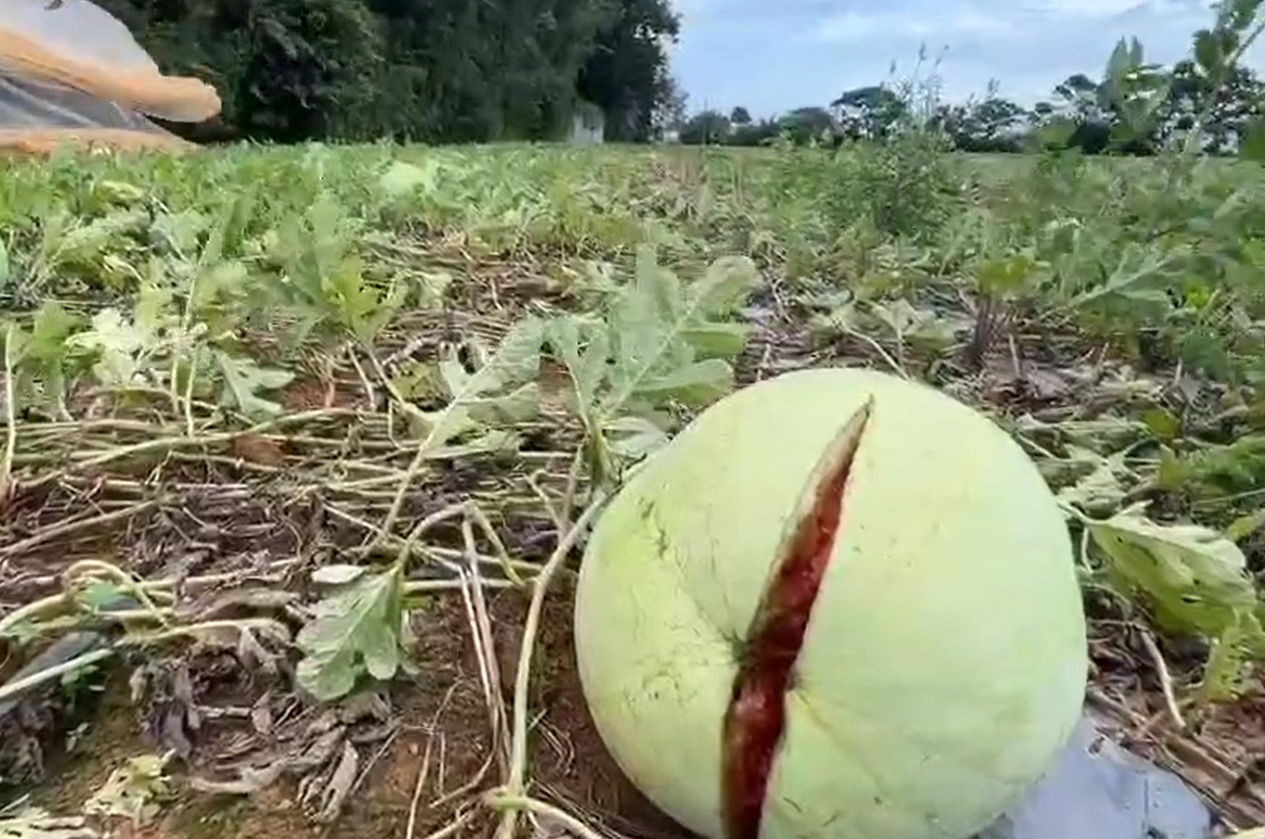 龜山鐵皮倉庫工廠陷火海 108名消防員灌救逾1小時控制火勢 48 1